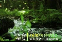 探寻阴瑜伽的内在力量，放松身心的完美视频教程