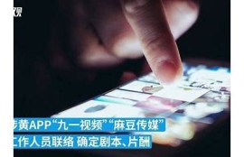 麻豆传媒官网安全吗？深入检视是否存在病毒威胁