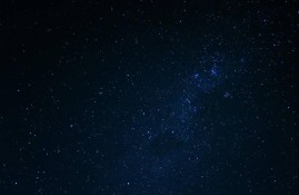 麻豆传媒陈心蕊最新动态与作品回顾