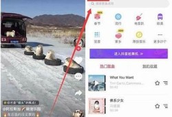 抖音内置一体版使用指南：让你轻松玩转短视频创作