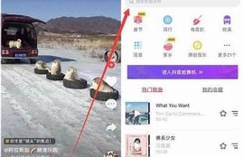 抖音T aPP使用技巧与热门内容推荐，助你快速提升社交影响力