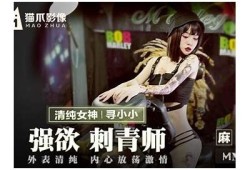 探索麻豆传媒黑兽：影视作品背后的制作与故事