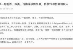 麻豆直播传媒：探索直播行业的新方向与发展潜力