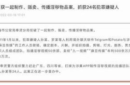 麻豆直播传媒：探索直播行业的新方向与发展潜力