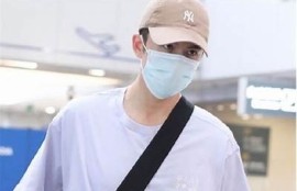 麻豆剧果冻传媒：探索老狼背后的故事与艺术魅力