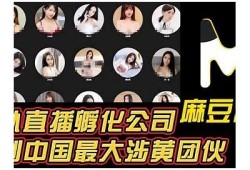 麻豆剧传媒免费视频官网：最新影视精彩在线播放平台
