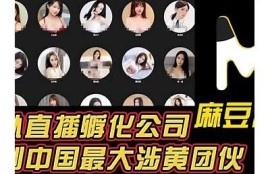 麻豆文化传媒官方网站：探索影视创作与传播的无限可能