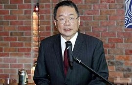 林麻豆传媒：探索新媒体时代的创意与营销方向