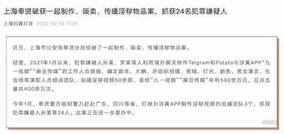 麻豆传媒与S的精彩碰撞：探讨内容创作与营销新方向
