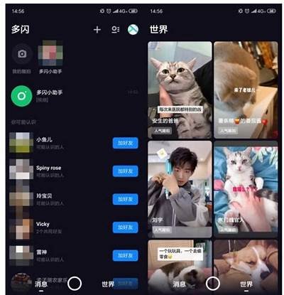 成版人抖音App：畅享创意短视频，尽在抖阴新体验