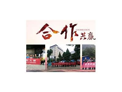 探索麻豆传媒国产林：独有魅力与影视作品的完美结合