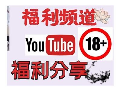 老司机推荐：抖阴破解版下载及使用详解