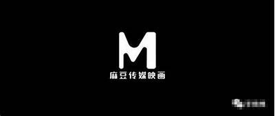 麻豆传媒映画官方实践下载安装最新指南与特点检视