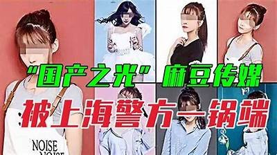 麻豆传媒台湾在线观看：畅享最新热门影片与精彩内容
