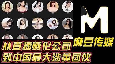含羞草赞助麻豆传媒，助力内容创作与传播新纪元