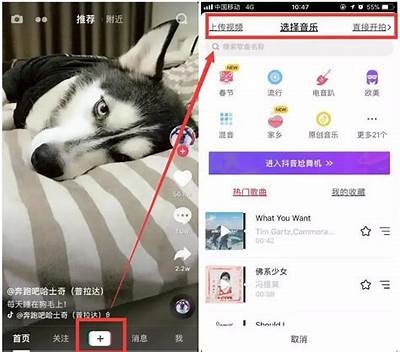如何在抖音上固定拍摄技巧，提高视频质量与观看率的方法
