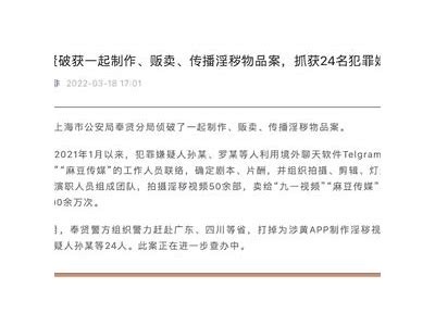 揭秘麻豆视传媒狼人背后的故事与行业影响