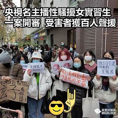 麻豆传媒涉嫌报复女业主，深度揭晓事件背后的真相与影响