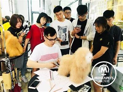 在哪里可以在线观看麻豆传媒热门电影？掌握观看攻略！