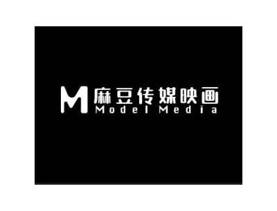麻豆传媒最新兑换码使用指南及攻略，轻松享受优质内容