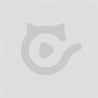 猫咪快猫抖阴二维码分享：轻松获取萌宠福利技巧