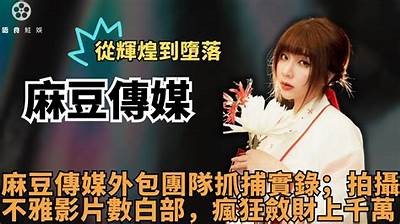 麻豆传媒是否触犯法律？深入检视其合法性与风险