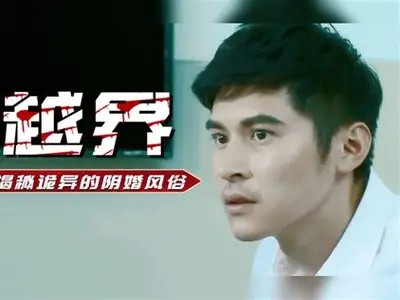 邵先森博客揭秘：抖阴猫咪背后的趣味与秘密