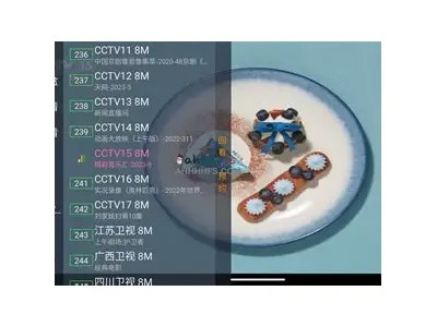 宝盒直播破解版本：抖音直播无限制观看技巧分享
