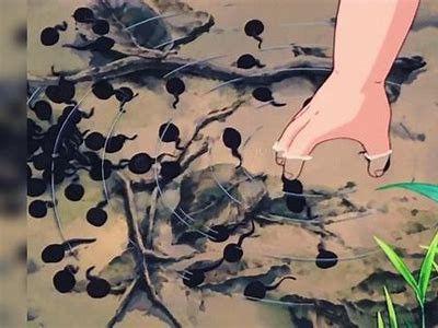 海边小鸟抖阴动画：清新治愈的夏日风情视频