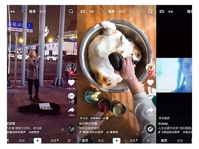 探索抖阴类使用：热门社交平台推荐与使用技巧