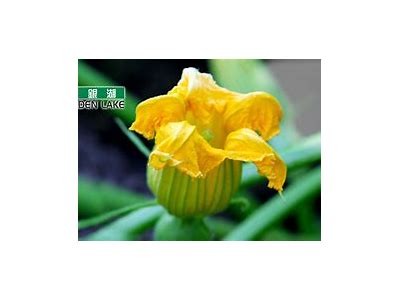 快猫抖阴破解版下载：畅享影视新体验，安全又流畅