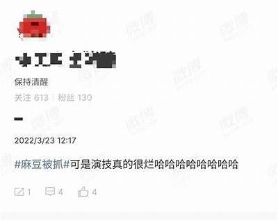 探索麻豆传媒：全新视角解读其影响力与发展动向