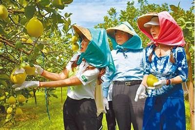 探索麻豆传媒花旦的魅力与行业发展动向