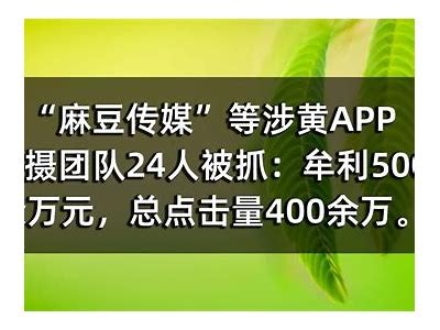 探索麻豆网络传媒：便捷访问与优质内容的最佳入口