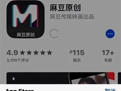 麻豆传媒李京娑：影视圈新星的成长之路与作品回顾