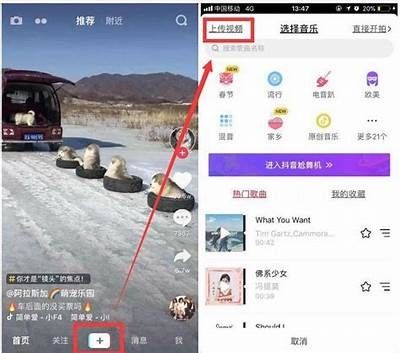 抖音1.6版新功能解析：带你玩转短视频创作新潮流