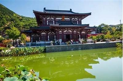探秘西安：抖音热门景点与美食推荐，畅享古都魅力