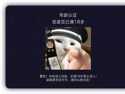抖阴成年短视频app下载安卓版破解方案，轻松观看精彩内容