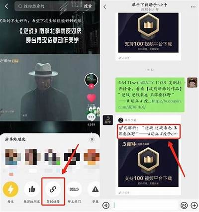 广泛解析抖阴APP旧版：功能特点与下载指南