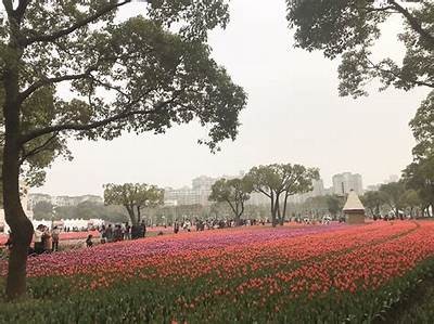 dji8cn抖阴国际版1.90下载地址及全新功能解析