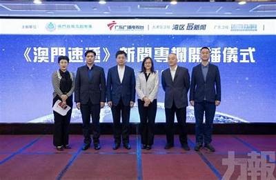 麻传媒豆传媒：探索新媒体时代的传播方式与方向调查