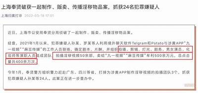 发现麻豆传媒真相：深度解析其成功背后的秘密