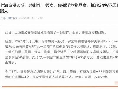麻豆MD传媒治霖：揭秘新晋电影网站的无与伦比魅力与创作理念