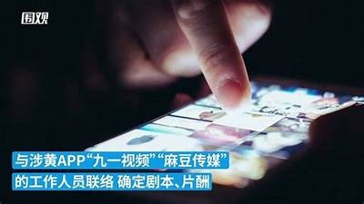 麻豆传媒是否触犯法律？深入检视其合法性与风险