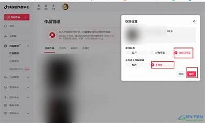 抖音视频创作新秘籍：如何快速提升观看量和粉丝互动？