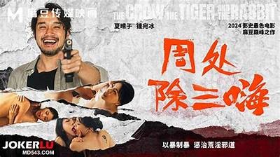 麻豆传媒三十三天：探索无限创意与激情的完美结合