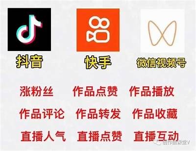 揭秘抖阴pear：如何在短视频平台达成目标快速盈利
