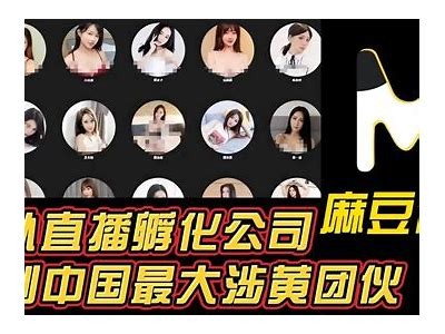 获取麻豆传媒公司电话及联系方式，轻松了解更多信息