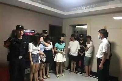 麻豆传媒无法访问的动因研究及解决方法